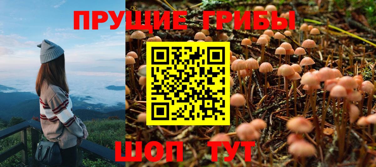 Псилоцибиновые грибы Cubensis  сколько стоит  Галлюциногенные грибы прущие грибы  Аксай  Вход с VPN 
